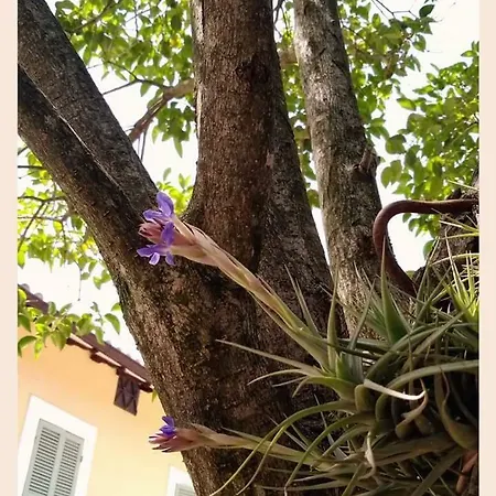 Monte Cologna Foligno