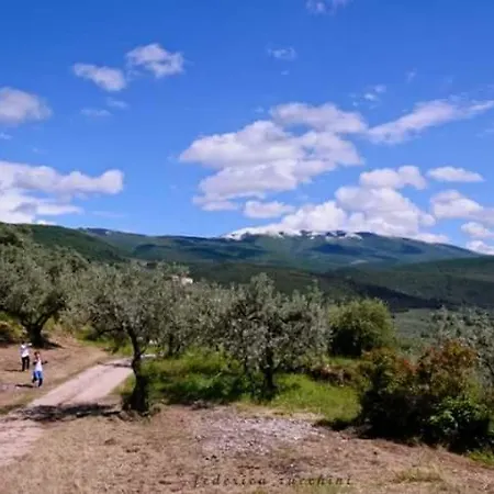 Monte Cologna Foligno