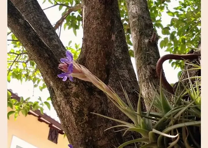 Monte Cologna Foligno